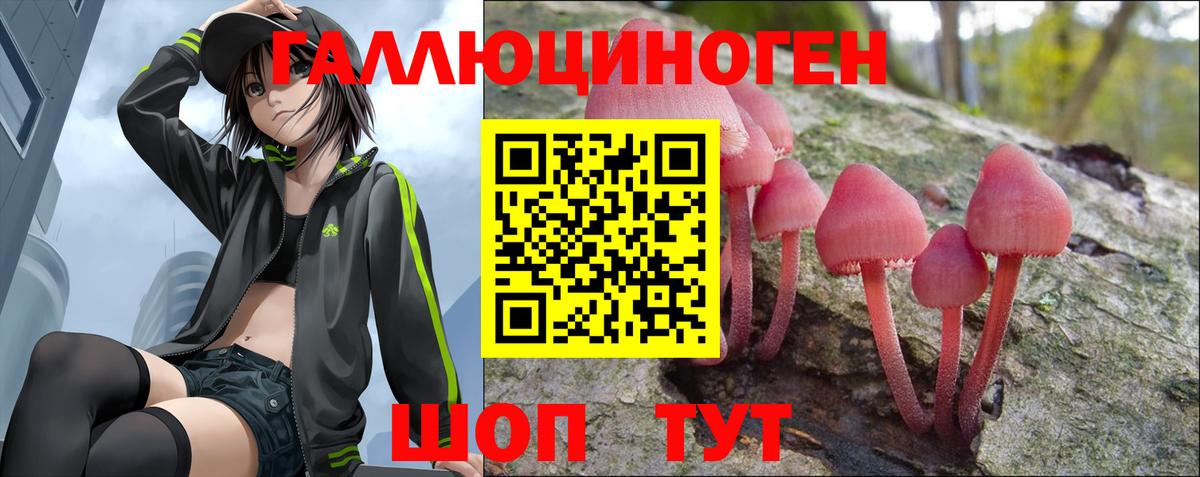 Галлюциногенные грибы Psilocybine cubensis  Вход с VPN  Северск 