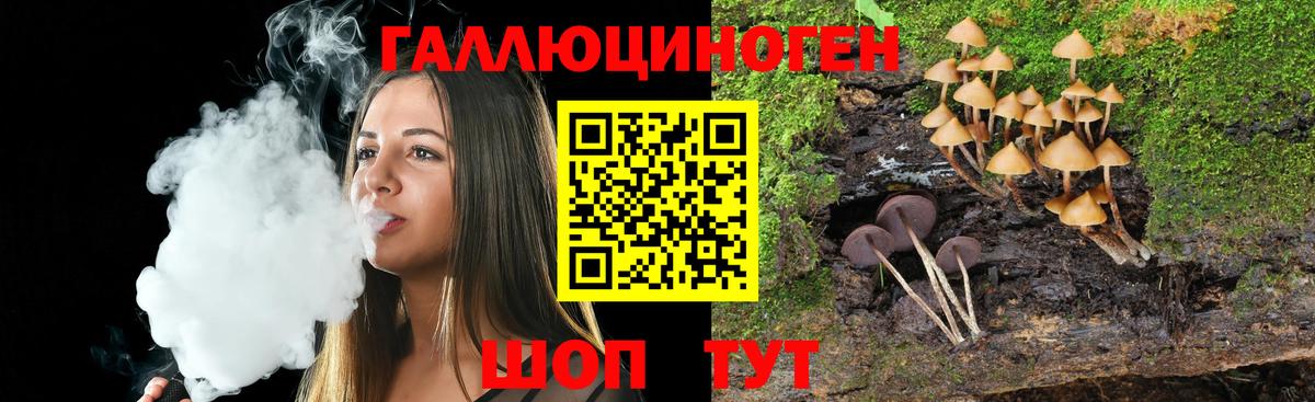 Галлюциногенные грибы Magic Shrooms Северск